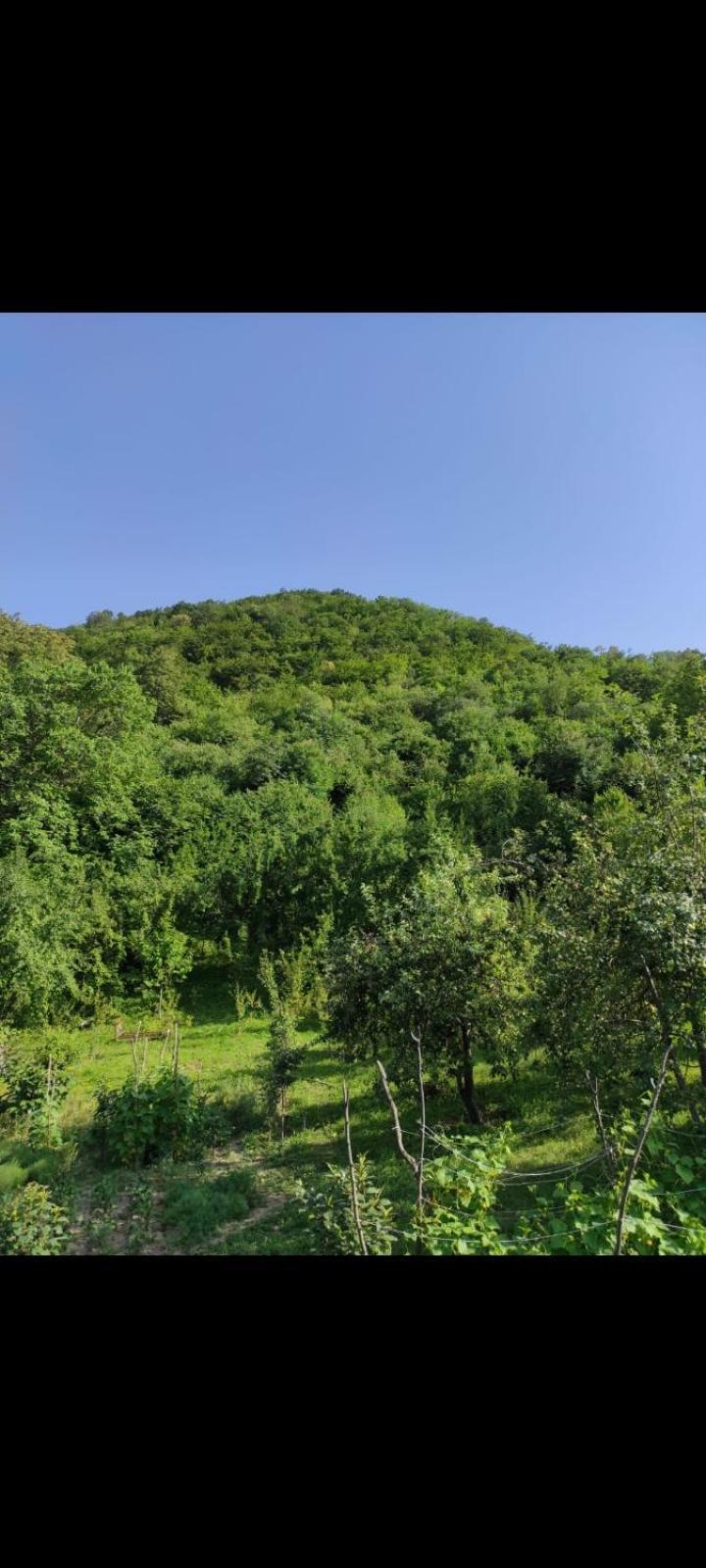 Md House Hotel Idzsevan Kültér fotó
